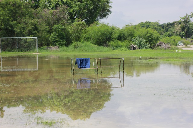 库里在轻松 库里在轻松