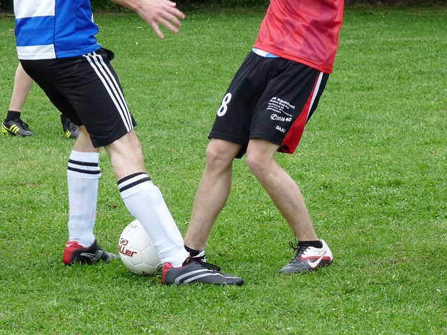 将有效补强 将有效补强