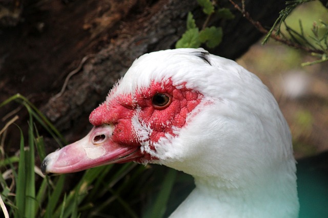 全国人大常委会法工委发言人办公室回应民营经济促进法立法进展.